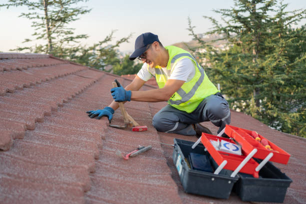 Best Flat Roof Repair Services  in Beecher, MI